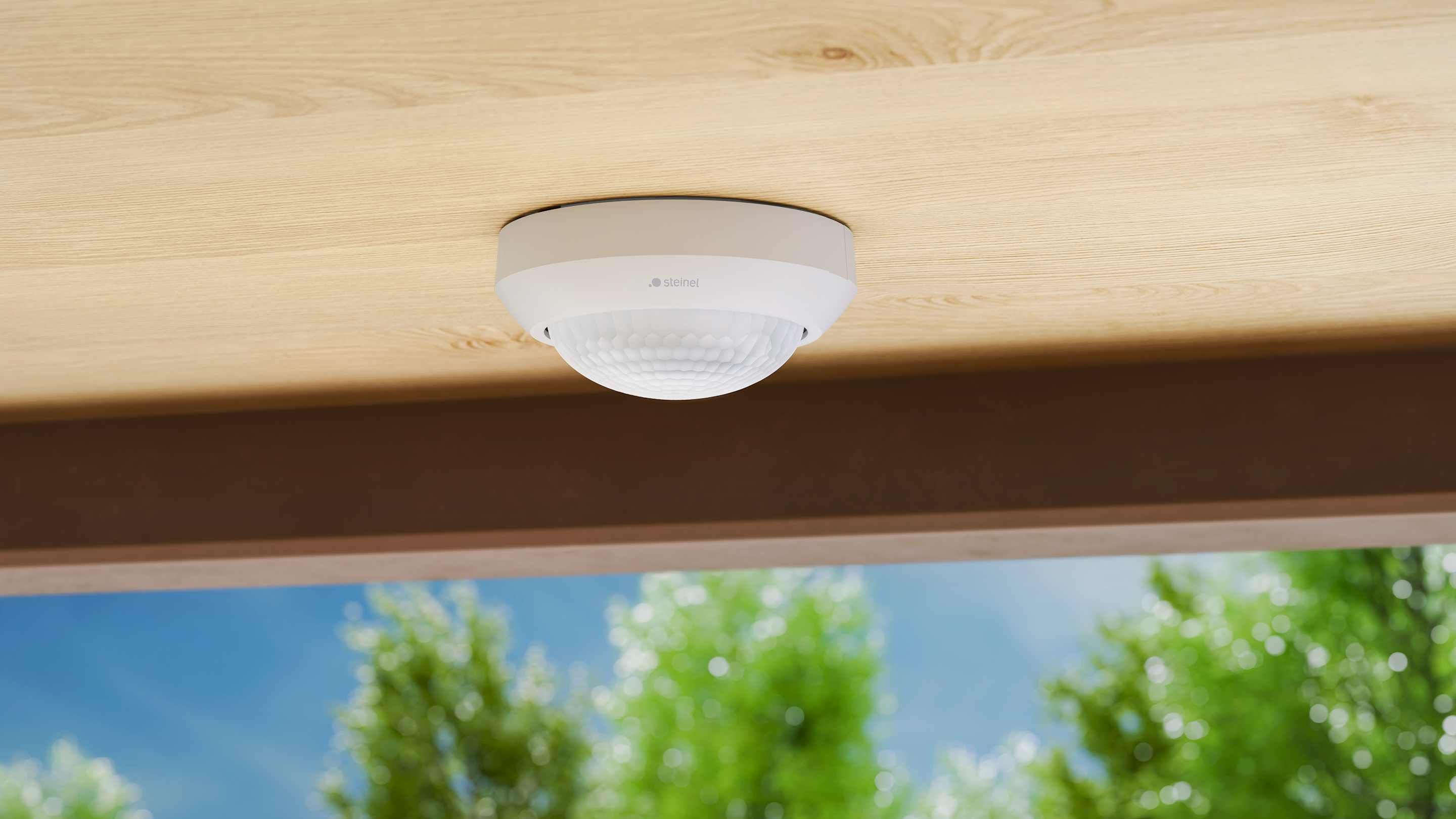 Sensor detection range