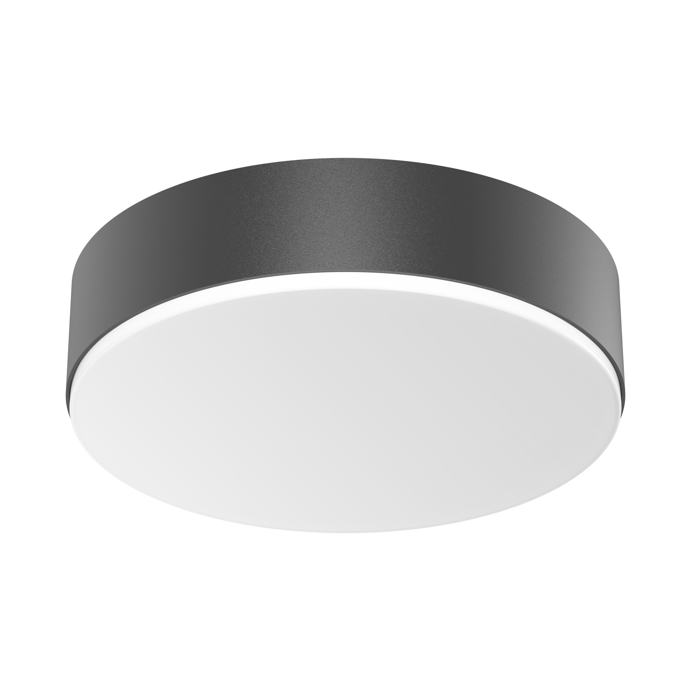 Steinel RS PRO A20 SC Neutral white anthracite