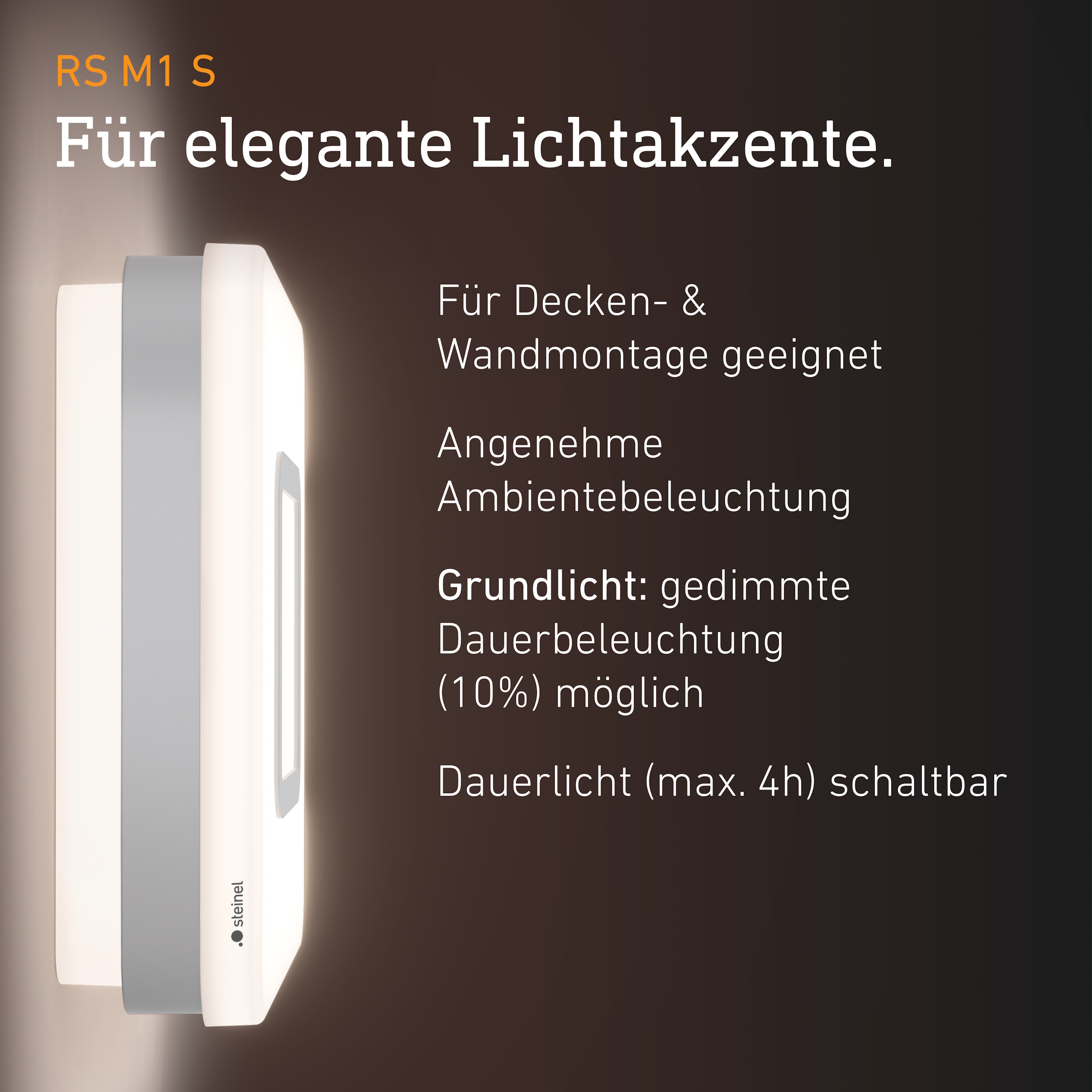 Steinel RS M1 S Edelstahl