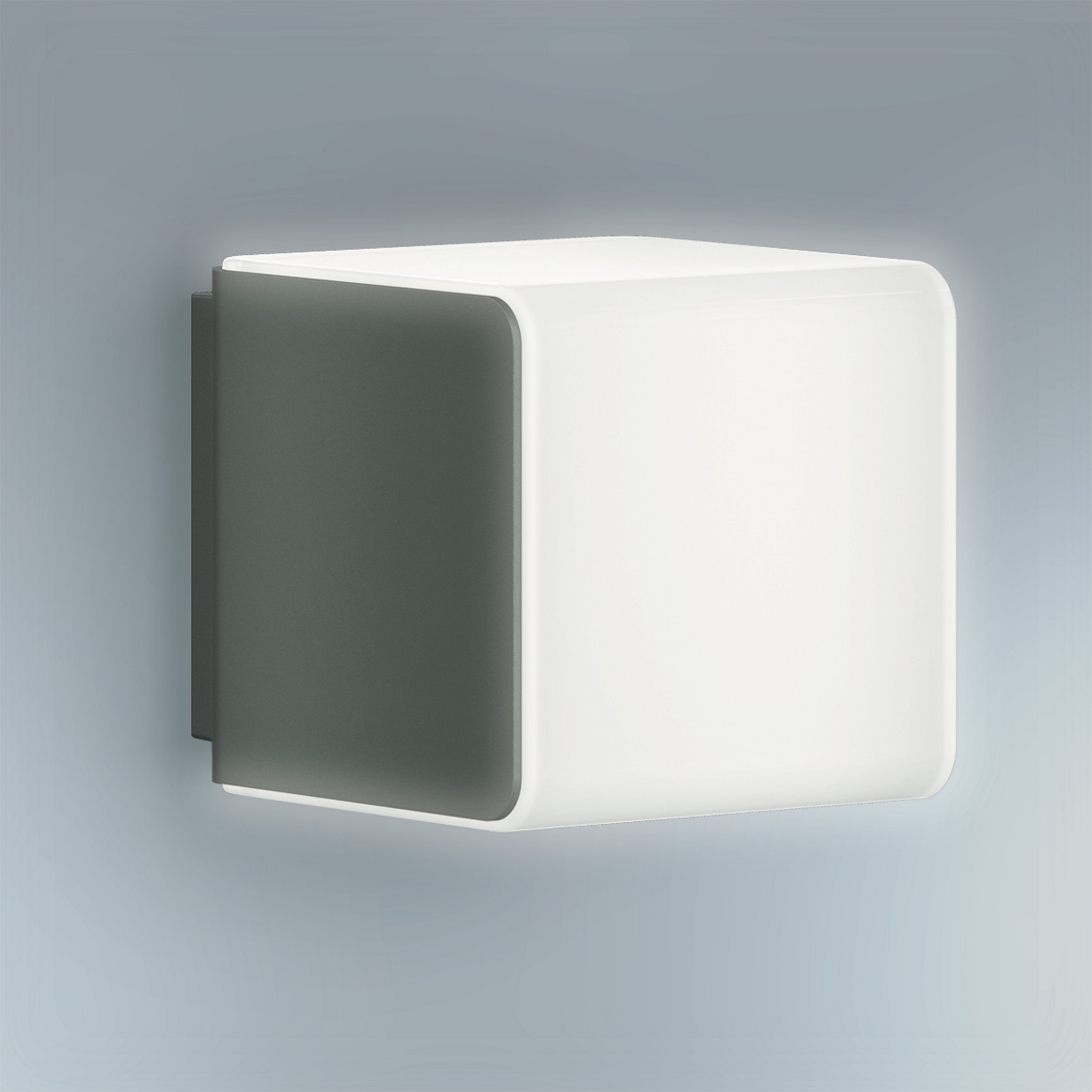 Adjustable main and basic light brighness (10 - 100%)