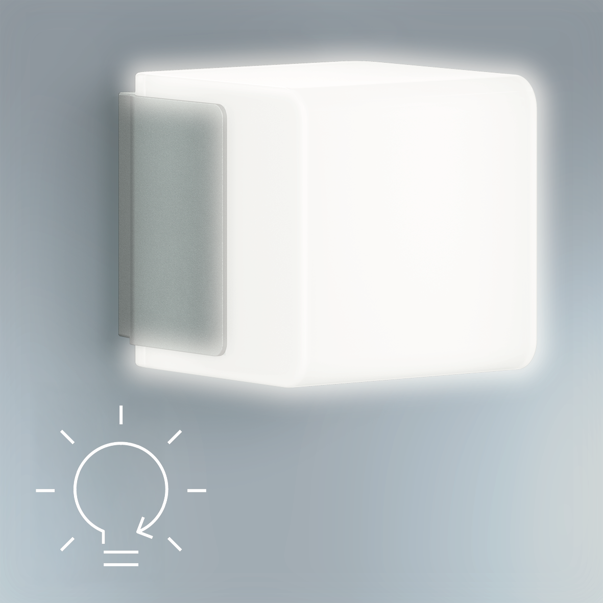 Luce continua commutabile individualmente (opzionale)