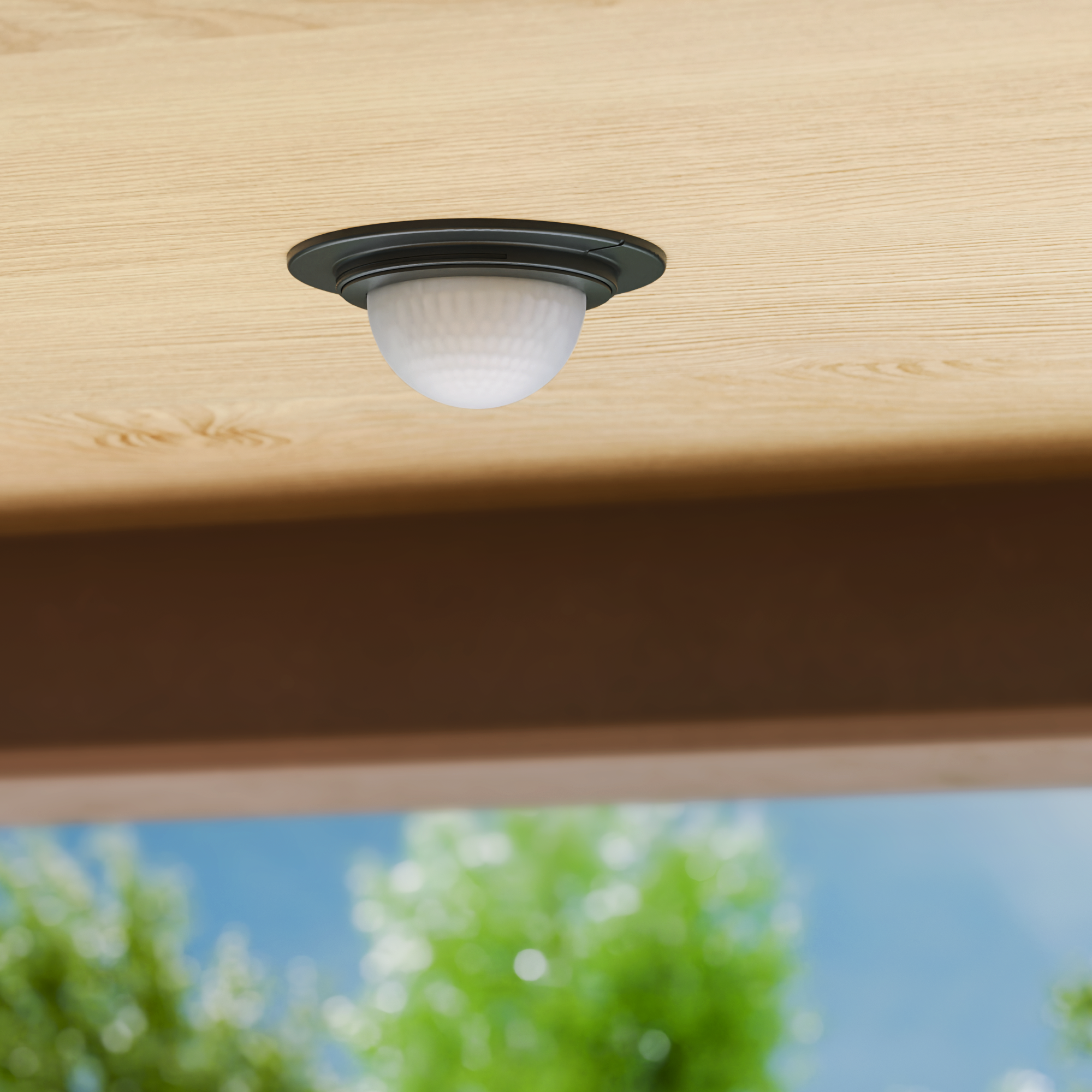 Area di rilevamento del sensore