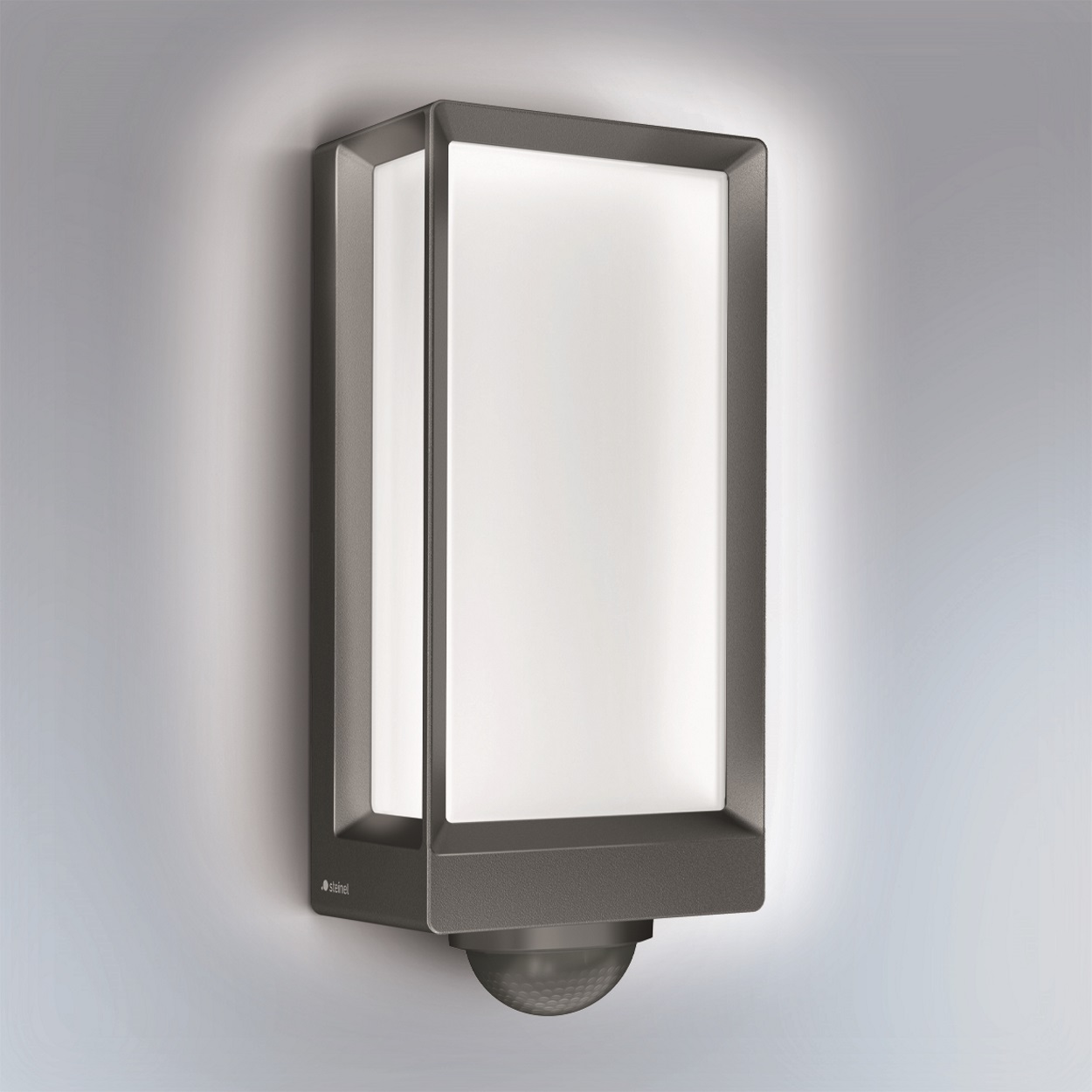Luce principale e di base regolabile (5–100%)