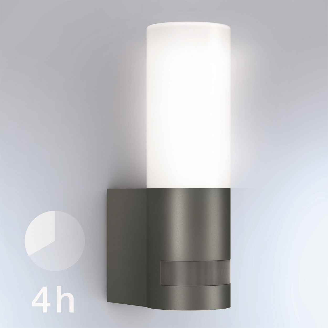 4 Stunden Dauerlicht (optional)
