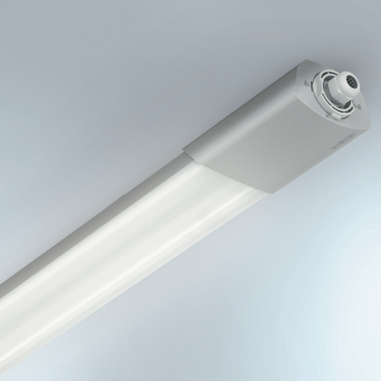 Luce principale regolabile (0 – 100%)