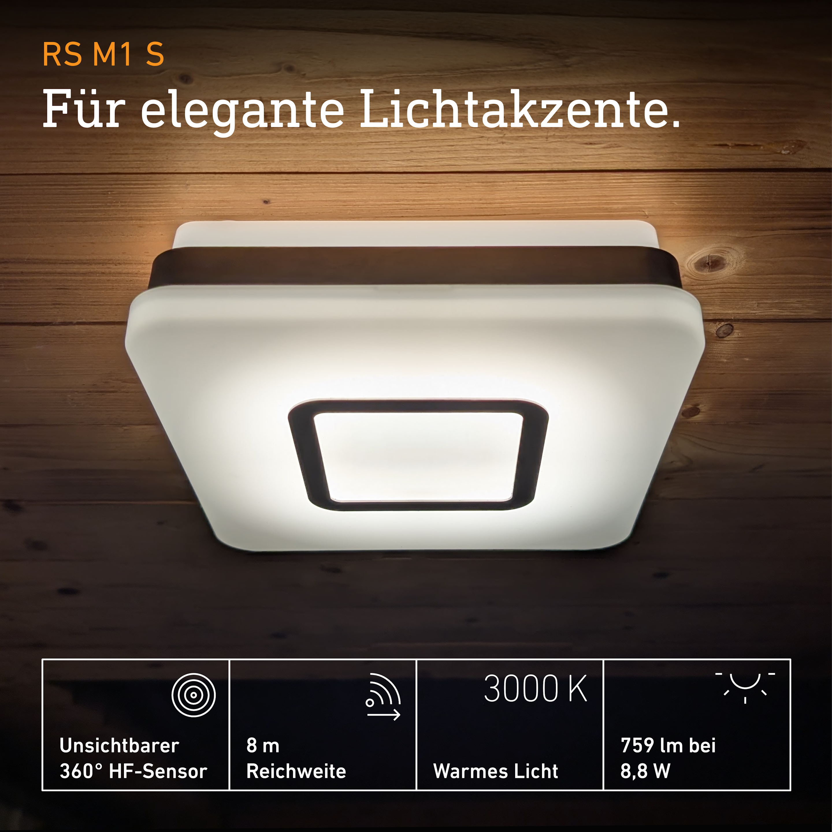 Steinel RS M1 S inox