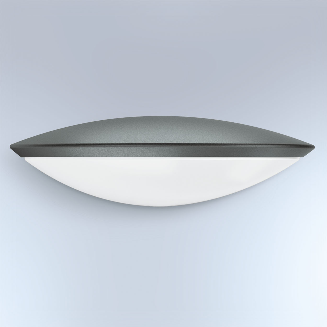 Funzione luce di base 10 - 50% (via App)
